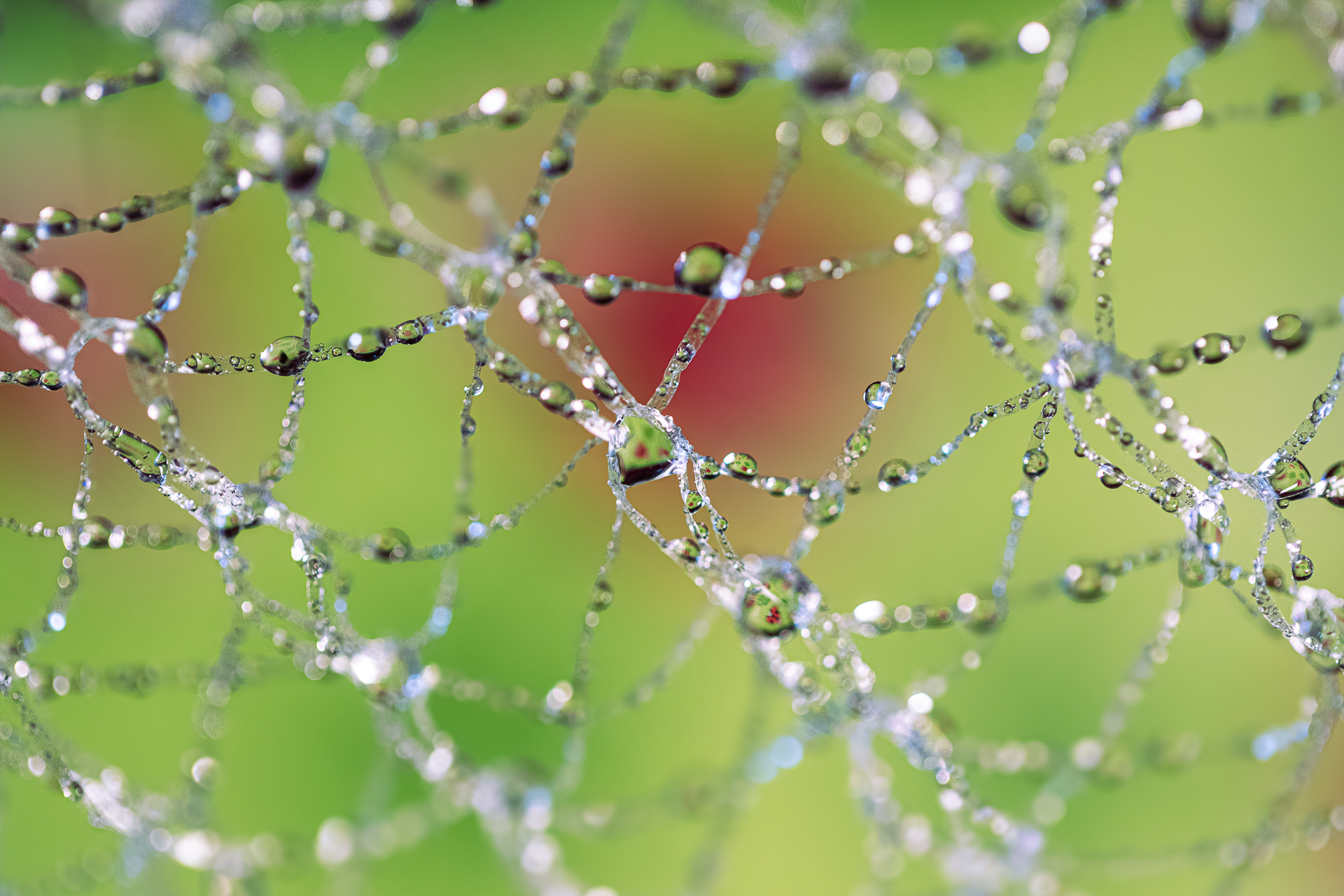 Perles en apesanteur